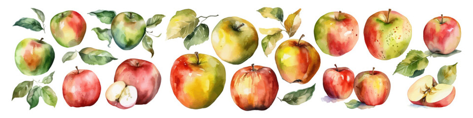 Set of watercolor apple. Hand drawn illustration.