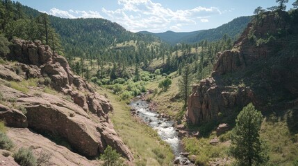 Fototapeta premium Rocky Mountain River Valley Scenic Landscape