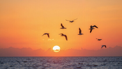 Flock of birds soaring at sunset over calm ocean, symbolizing freedom