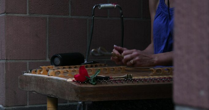 Woman playing a hammered dulcimer on the street