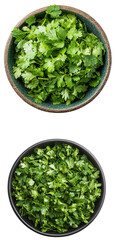 Fresh cilantro herb varieties kitchen food photography natural light top-down view culinary inspiration