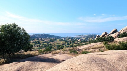 Coastal Hillside Landscape