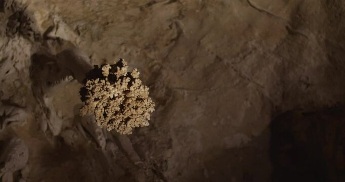 Carlsbad Caverns Stalactite Popcorn