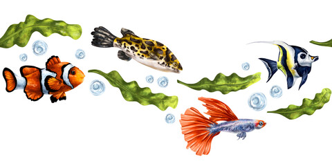 Tropical fish with green algae, angelfish, clownfish. Underwater ocean world, exotic travel, wildlife. Seamless border, isolated illustration, hand-drawn on white background. Exploring marine world