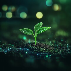 Night Bloom Digital Sprout in Bokeh Background, Green Plant, Technology Agritech, Sustainable Growth