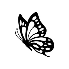butterfly