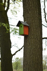 green orange birdhouse on a tree, protection of the environment,