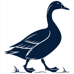 silhouette duck image on white background 