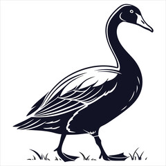 silhouette duck image on white background 