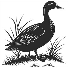 silhouette duck image on white background 