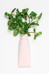 Fresh mint sprigs coming out of  wet pink tube on white background. Natural cosmetics concept