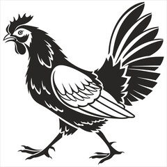  silhouette Chicken image on white background