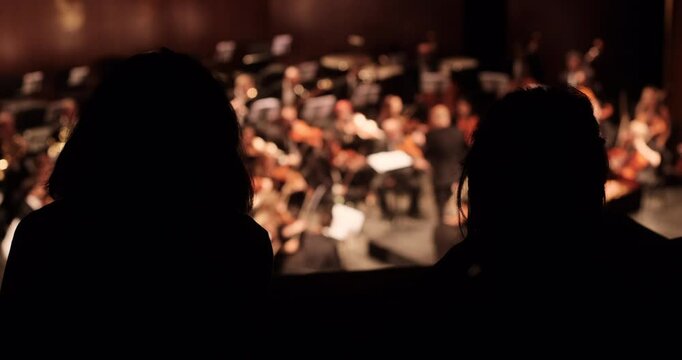 Listeners seated in the audience during a classical orchestra performance. The scene captures the atmosphere of a live music concert in a theater setting.