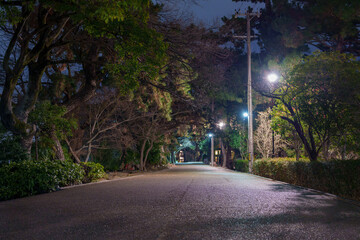 静寂な夜の郊外の道