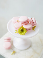 Delicate pink macarons on a white pedestal with a green flower and soft background perfect for afternoon tea