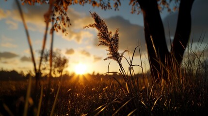 Obraz premium Serene Sunrise Over Tranquil Landscape, gentle hues illuminating the horizon, soft light enhancing the calm atmosphere, low angle perspective
