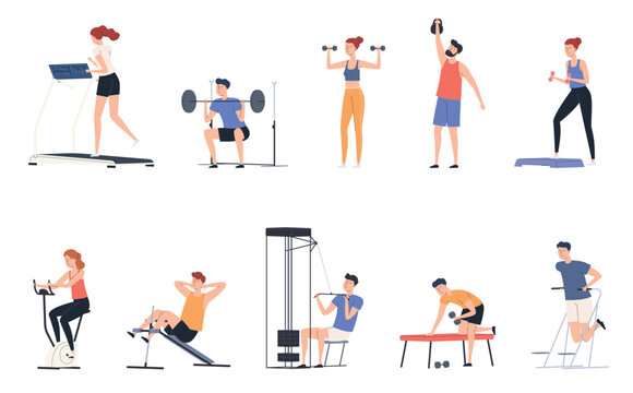 Men and women doing sports in the gym. Gymnastics, exercise machines, weightlifting. Keeping the body in good physical shape. Vector illustrations