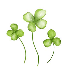 Green clover leaves. Watercolor illustration