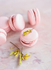 Delightful arrangement of pink macarons and delicate flowers on a textured surface