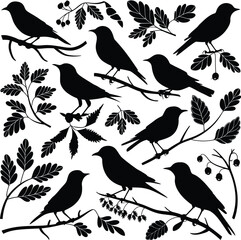 Collection of Bird Silhouettes in Various Poses with Branches and Leaves...