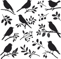 Collection of Bird Silhouettes in Various Poses with Branches and Leaves...