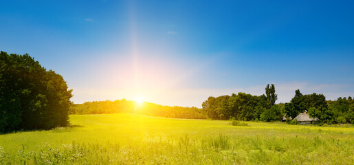 Beautiful bright sunrise over large summer pasture with grasses. © Serghei V