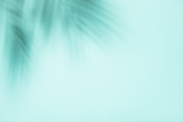 Blue background with palm shadows. Sunny trendy layout. Product presentation.