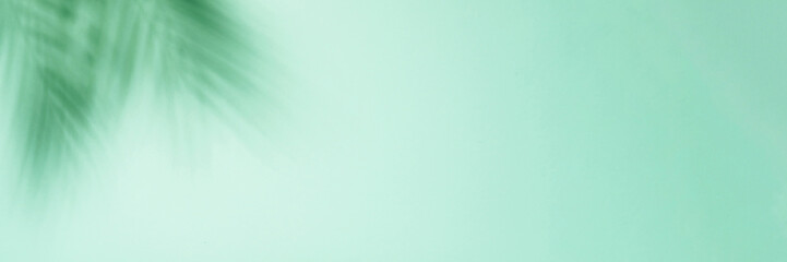 Art background with palm shadows on green. Long banner format for web design.