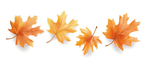 Fototapeta premium Vibrant Fall Leaves Isolated on White Background Displaying Autumn Colors