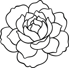 Peony flower bold line art vector illustration