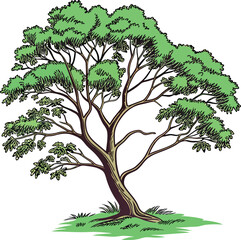 tree illustration isolated on white background, Tree Logo Vector Art