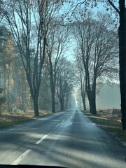 road in the fog