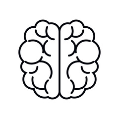 Brain organs illustration