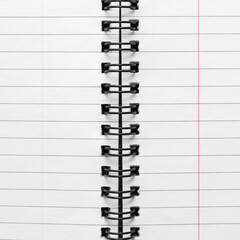 Spiral notebook with ruled pages