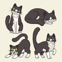 cute american shorthair cats character illustration