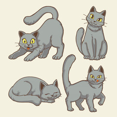 cute grey british shorthair cats cartoon character illustration