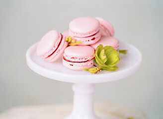 Delicate pink macarons displayed on a white pedestal with green garnish for an elegant dessert presentation