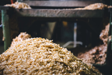 Ein Haufen Späne in Holzwerkstatt