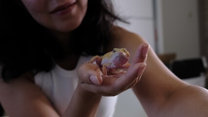 A gecko climbs along a person s arm, exploring its surroundings. This symbolizes the interaction between humans and wildlife in domestic environments. © yavdat