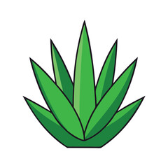 Aloe Vera Vector Art  High Quality Botanical Illustrations for Creative Projects
