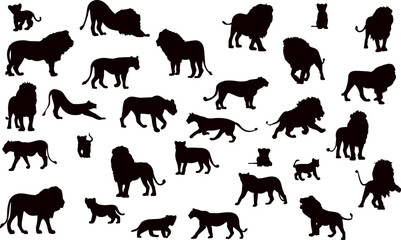lions, lioness, lion cub collection, set black silhouette vector