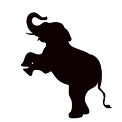 elephant standing on hind legs black silhouette vector