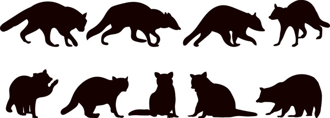 raccoon collection, set black silhouette vector