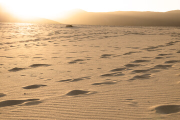 Dunes on the Mediterranean coast, sunrise