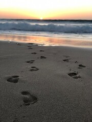 footprints on the beach
