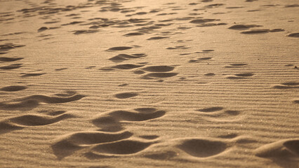 Dunes on the Mediterranean coast, sunrise
