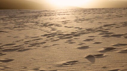 Dunes on the Mediterranean coast, sunrise