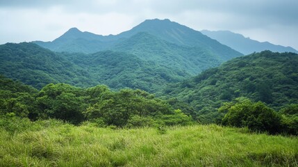 Green mountain background