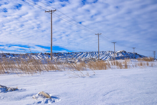A snowy field with a few trees and a few power lines