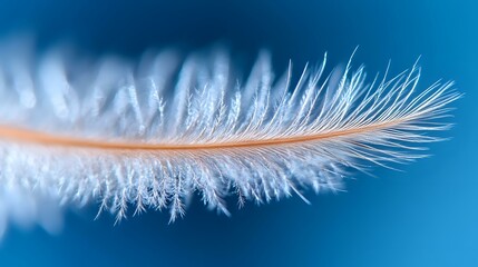 Delicate white feather with orange stem floating against vibrant blue background in macro photography, showcasing intricate details and soft texture for nature designs.